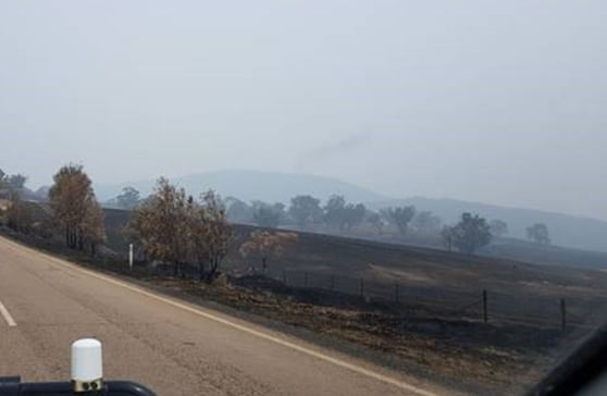 The view after the fire