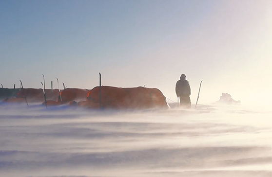 sun rising over an arctic camp sun rising over an arctic camp